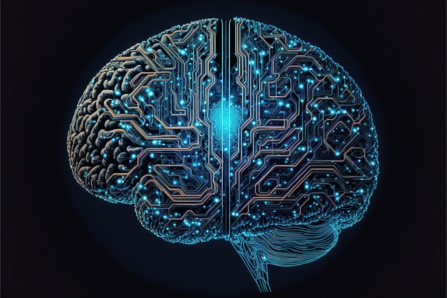 The Psychology of a Great Domain Name: What Buyers Are Really Looking For